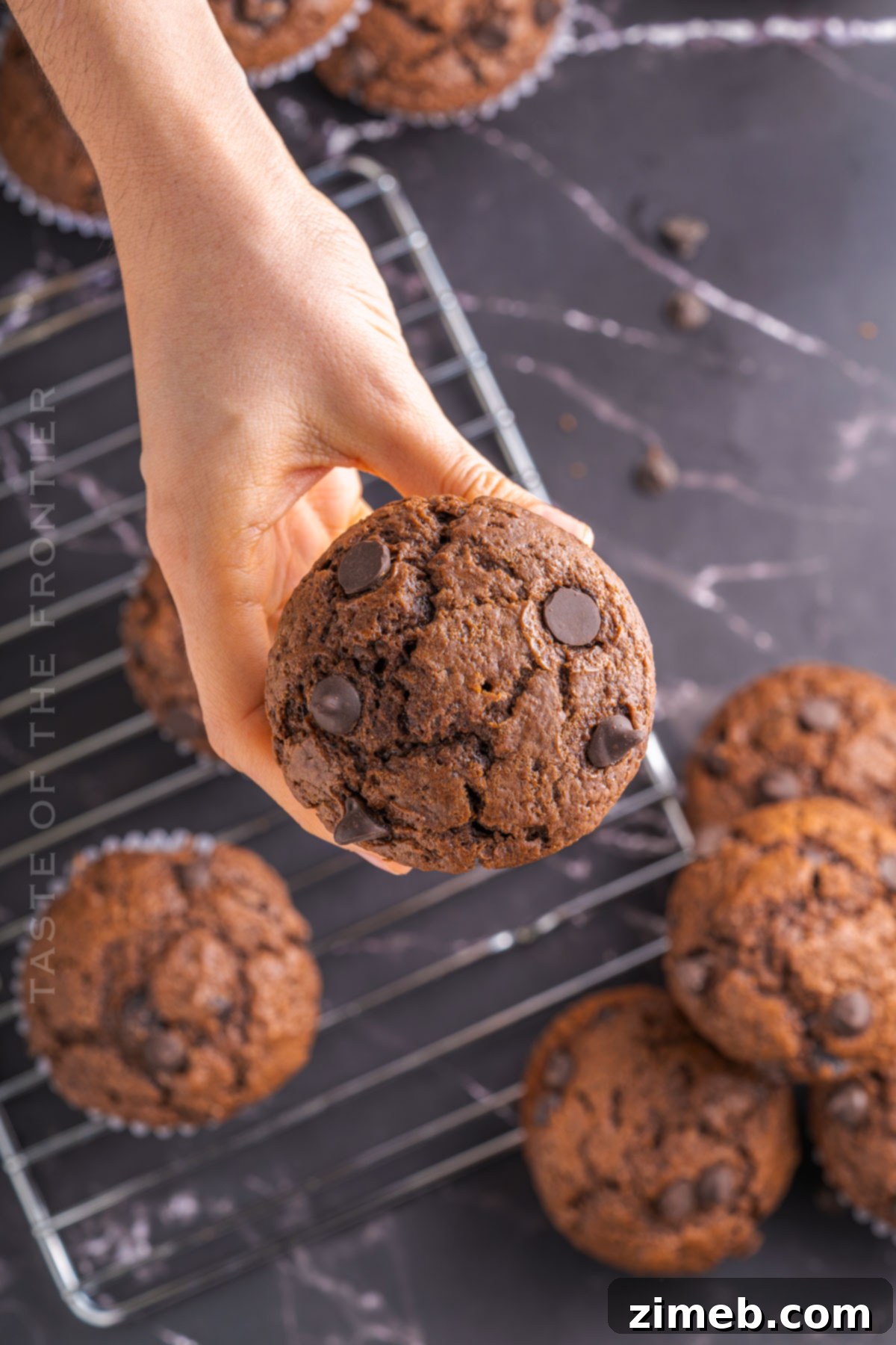 Baked chocolate muffins with abundant chocolate chips on top.