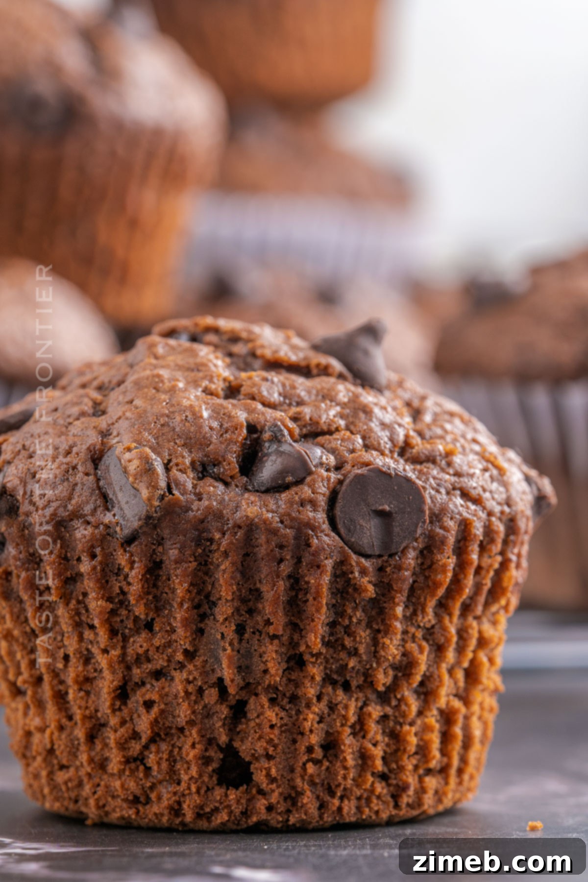 Moist muffins made with yogurt, adorned with chocolate chips.