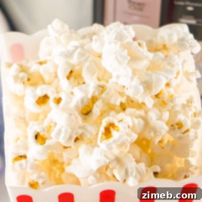 Instant Pot Movie Night Popcorn 16 Instant Pot Popcorn