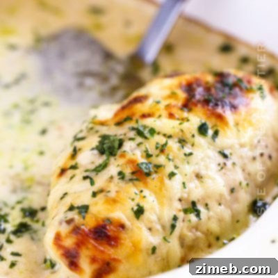 Cream of Mushroom Chicken