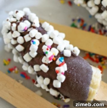 Creamy Vegan Strawberry Bliss 13 Frozen Bananas