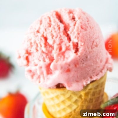 Creamy Vegan Strawberry Bliss 17 Dairy-Free Strawberry Ice Cream
