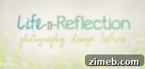 Champagne Overlay of Life and Reflection 14 banner for shabby photographer