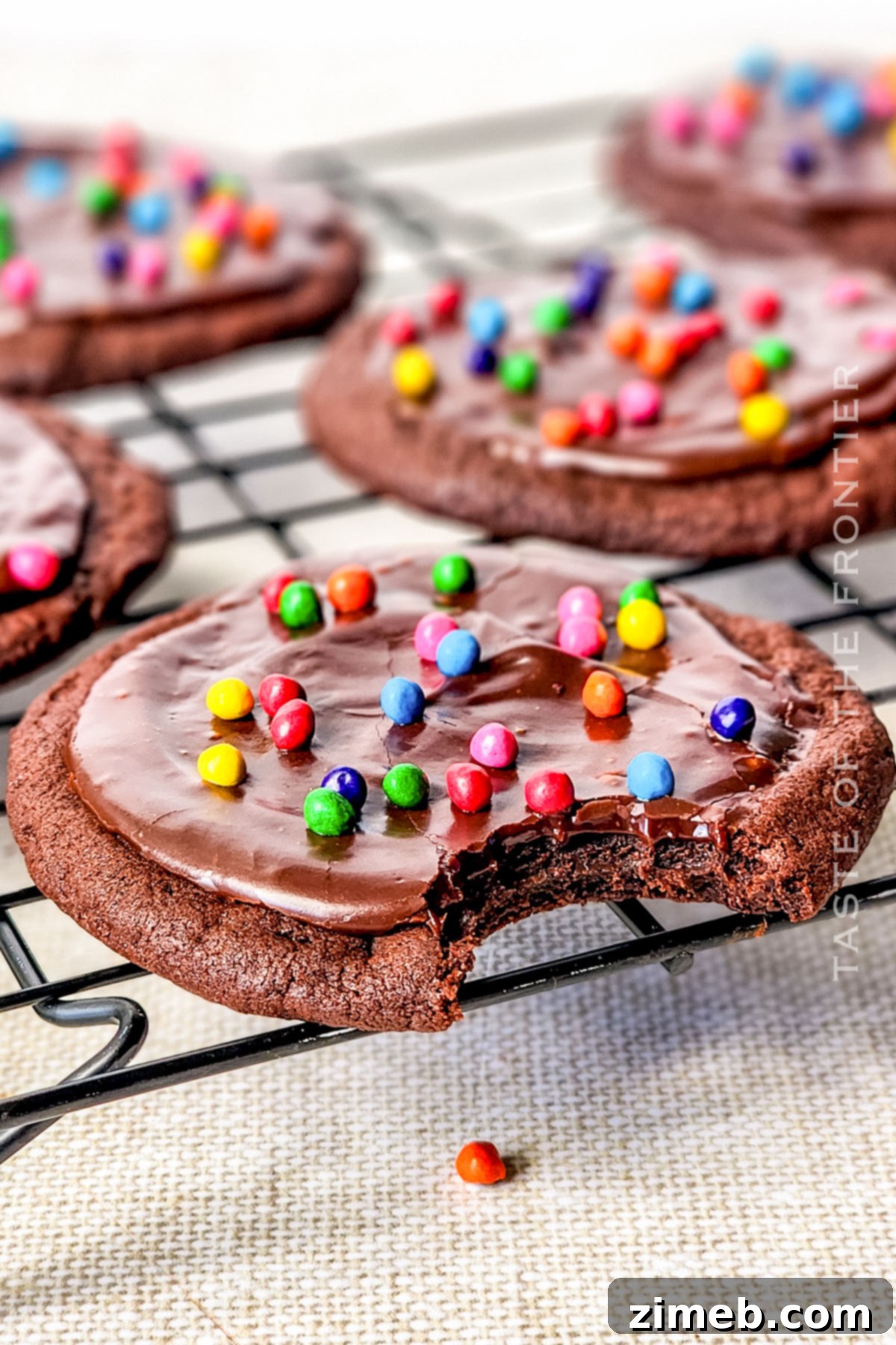 bite of a chocolate cookie