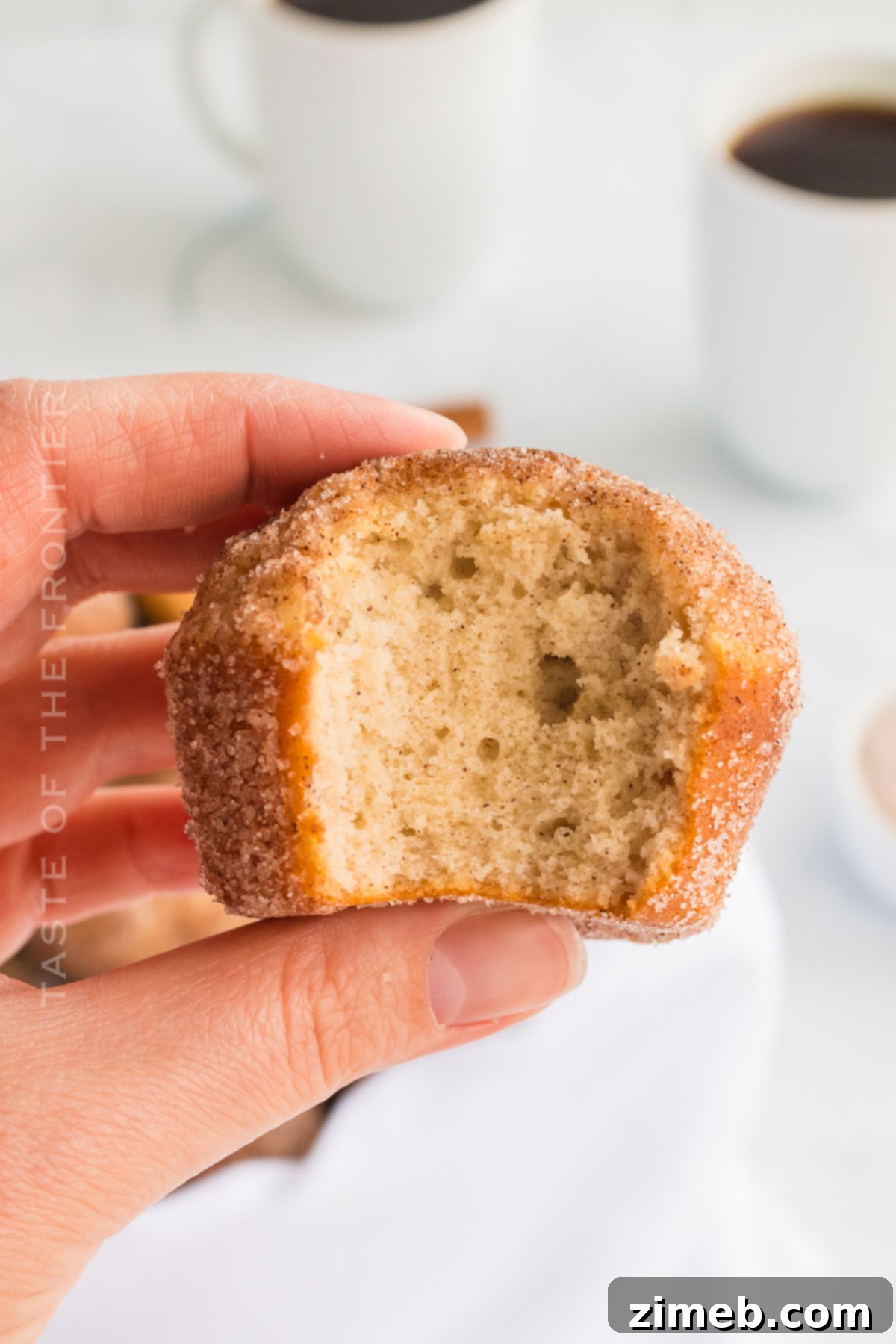 Sweet Cinnamon Cloud Muffins 2 Cinnamon Sugar Muffins - A Delicious Fall Recipe
