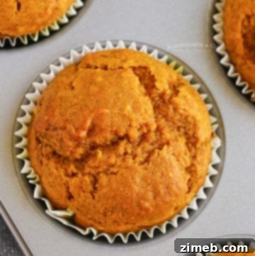 Sweet Cinnamon Cloud Muffins 13 Recipe for moist Pumpkin Muffins