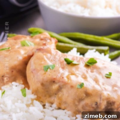 Slow Cooker Pork Chops