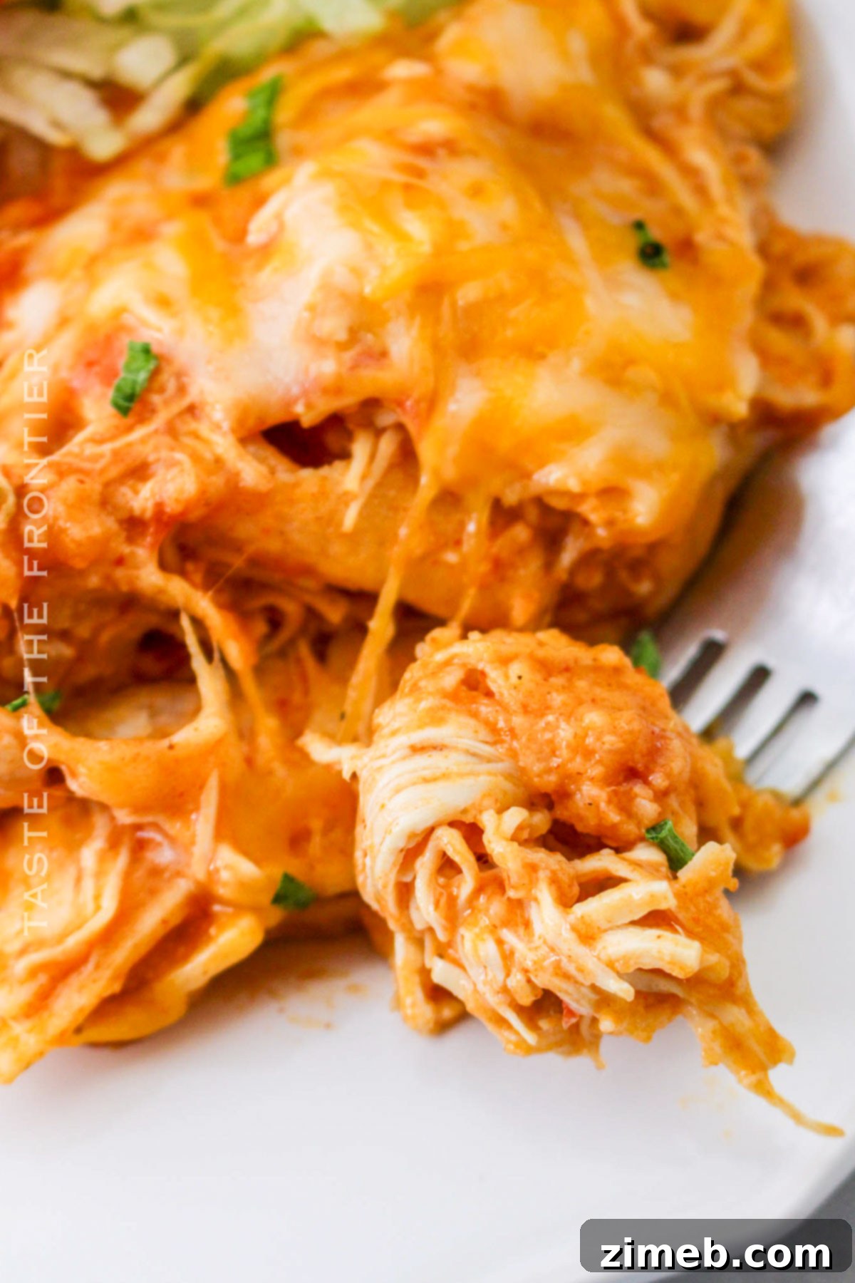 Hearty Slow Cooker Chicken Enchiladas