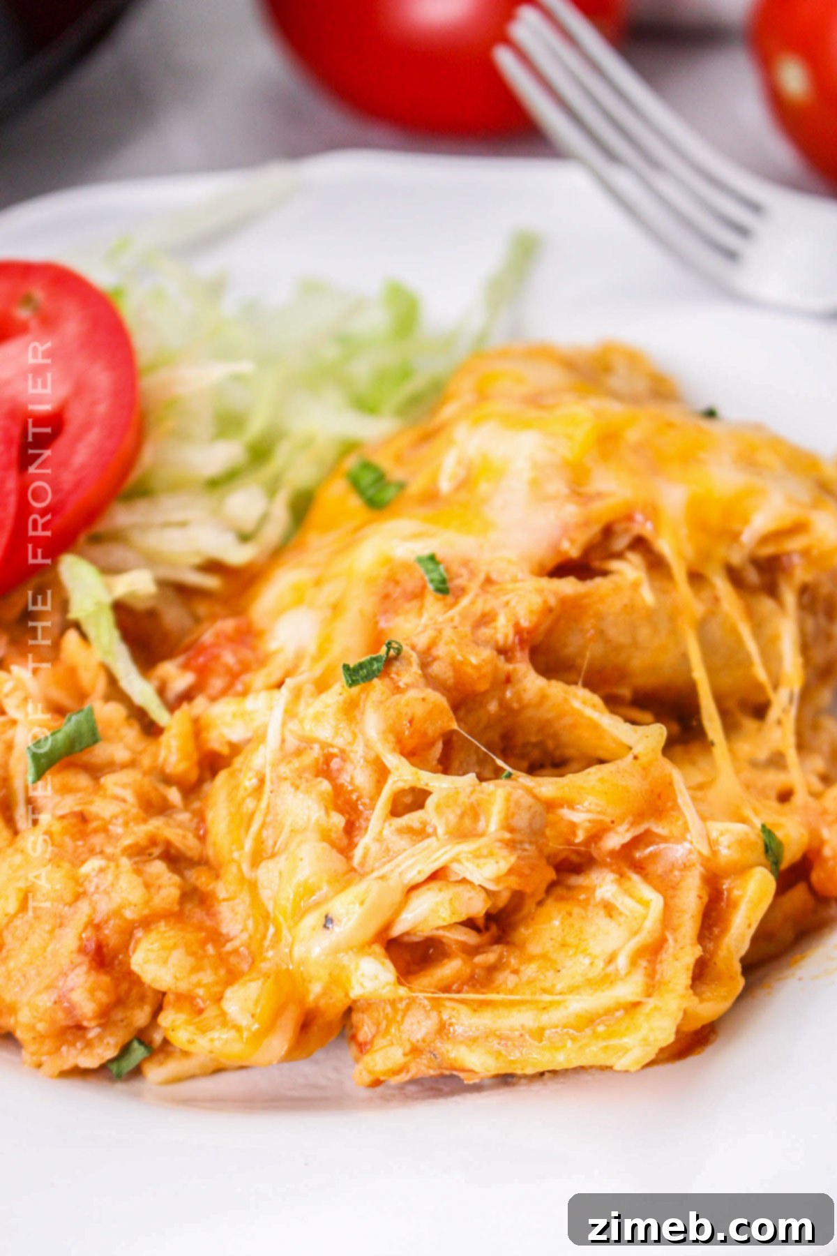 Customizable Crockpot Chicken Enchilada Casserole
