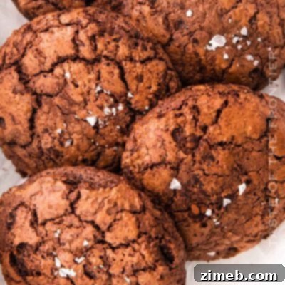 Vanilla Cloud Cookies 10 Fudgy Brownie Cookies
