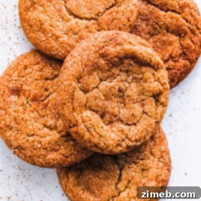 Vanilla Cloud Cookies 12 Spiced Cookies