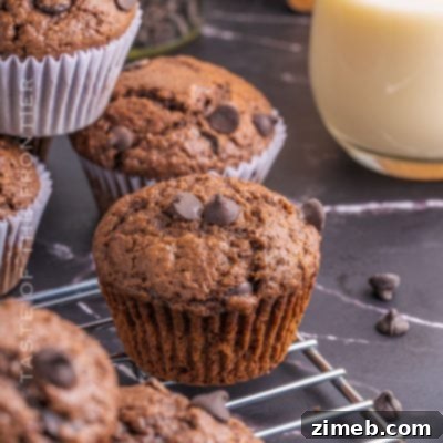 Double Chocolate Muffins