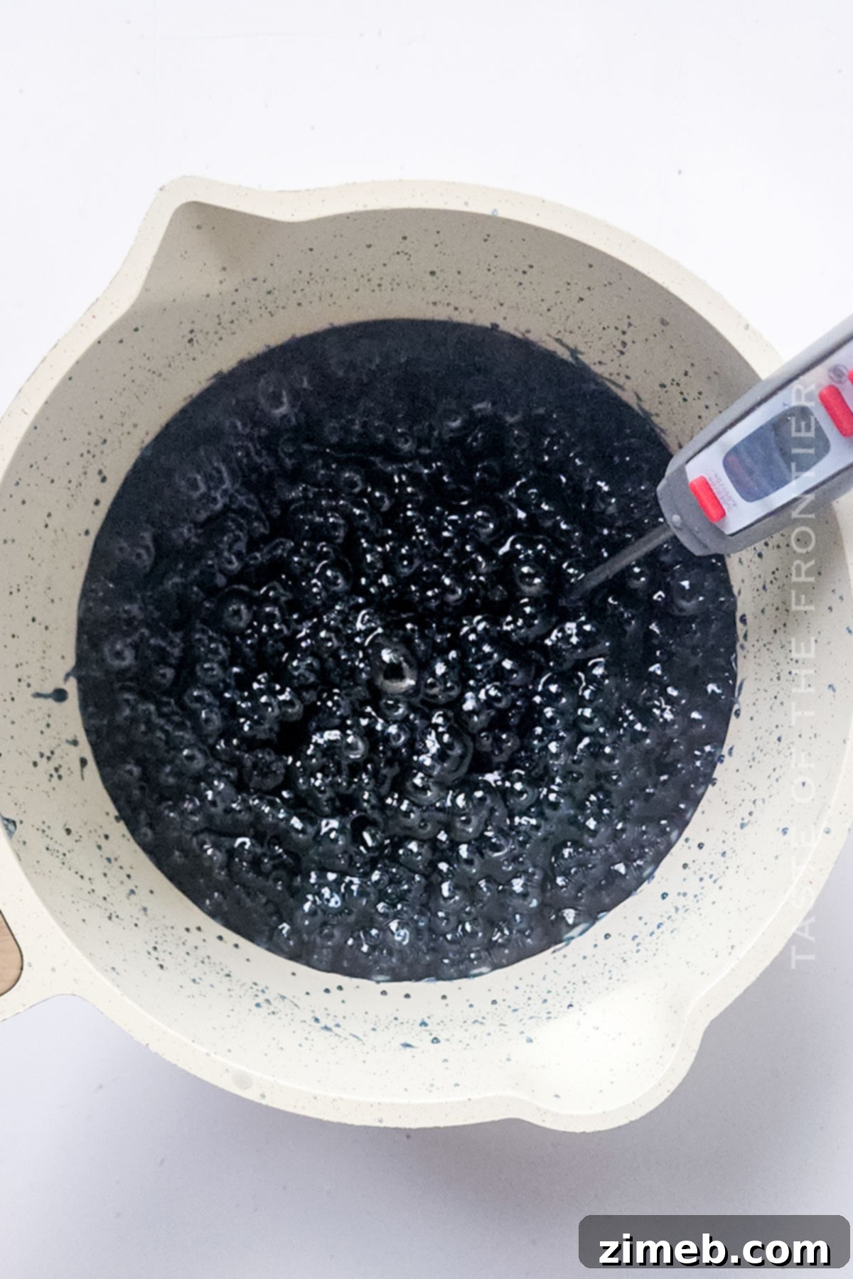 Midnight Candy Apples 5 Instructions for making Black Candy Apples, showing the dipping process.