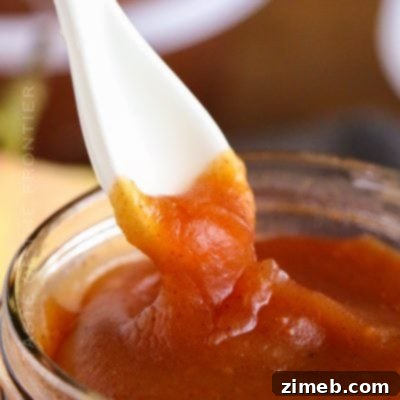 Instant Pot Apple Butter