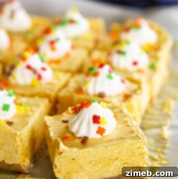 The Monster Cookie Dough 10 No-Bake Pumpkin Cheesecake Bars Dessert