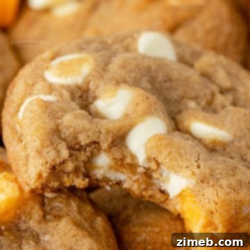 NO CHILL pumpkin cookie