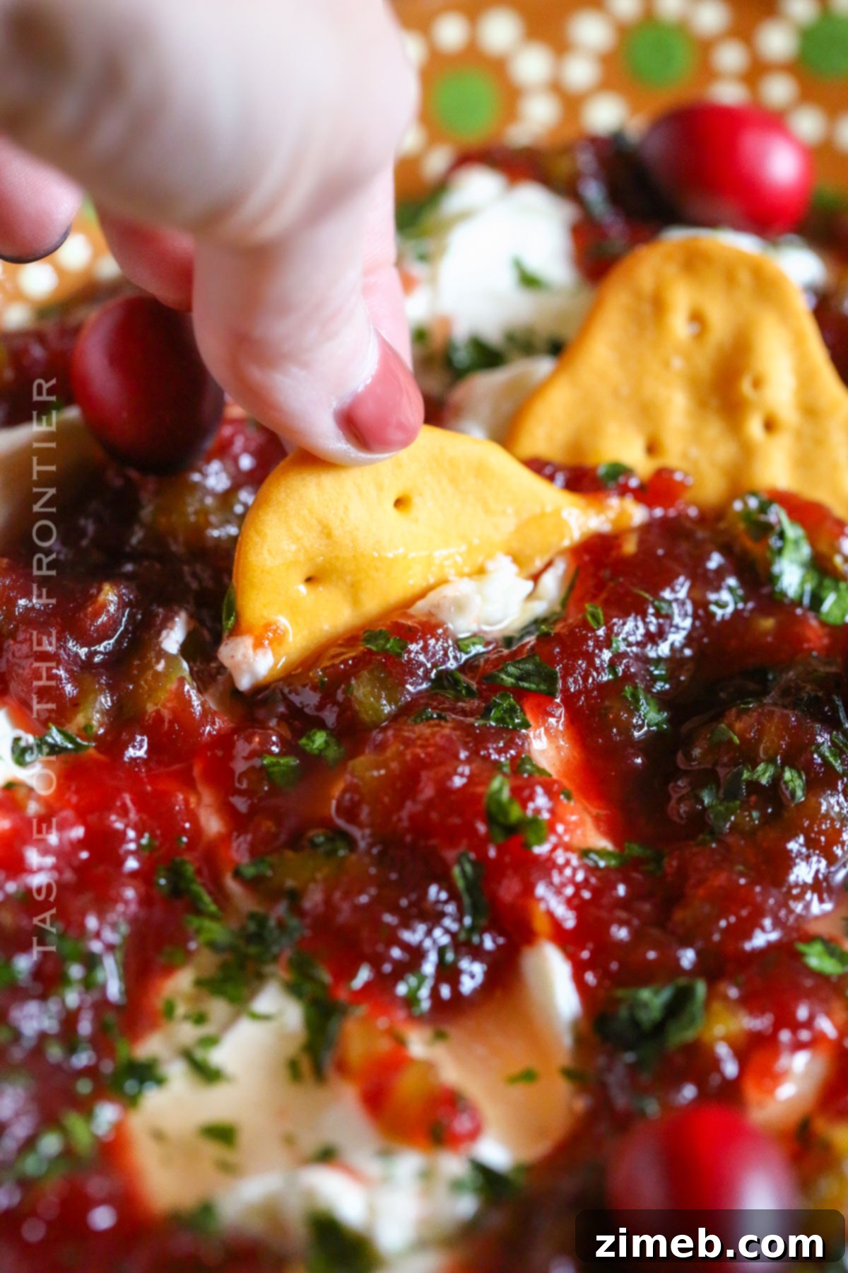 party dip for Thanksgiving