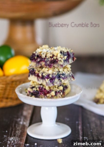 Blueberry Crumble Bars - a fresh and fruity dessert bar recipe.