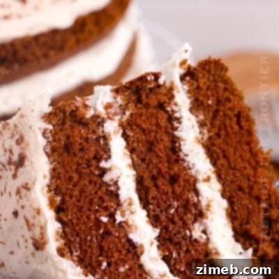 Unadorned Chocolate Delight 17 Naked Chocolate Cake