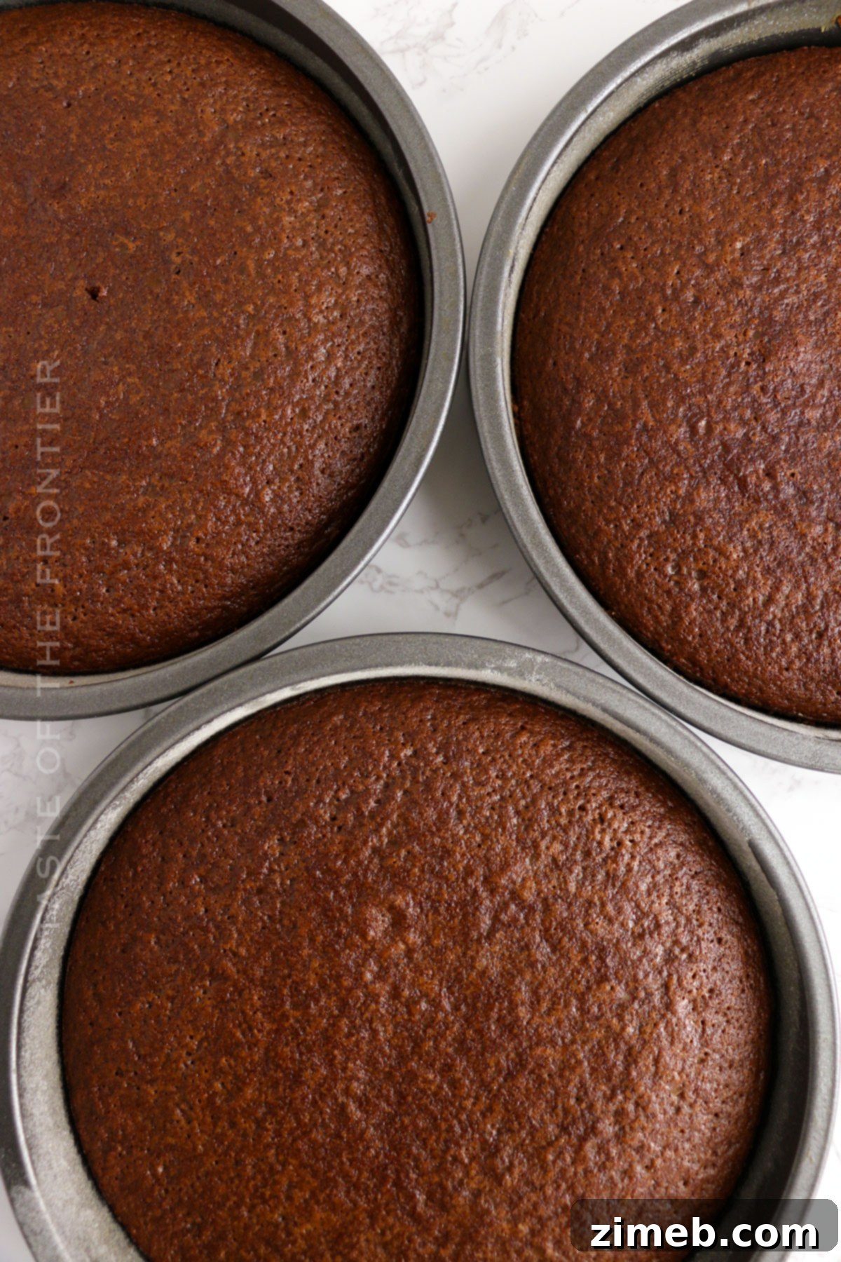 Unadorned Chocolate Delight 7 baked cakes