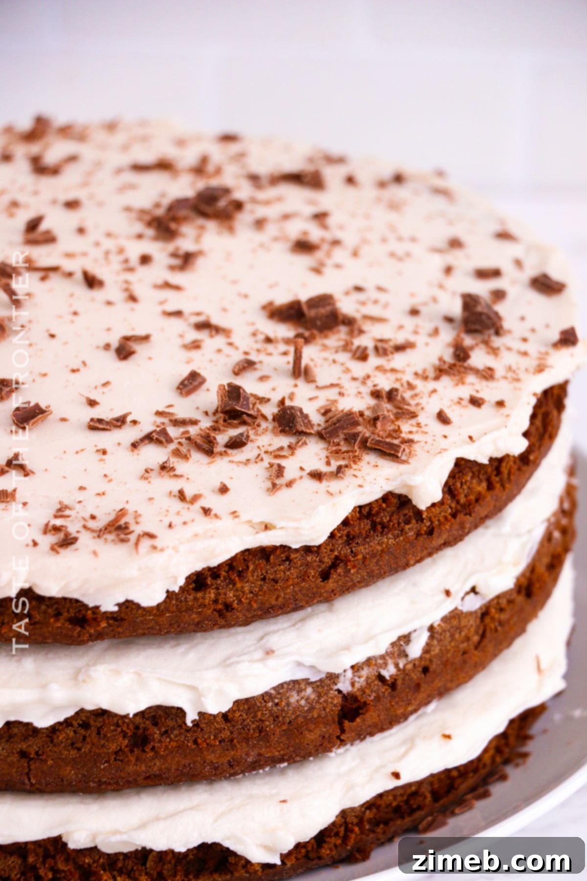 Unadorned Chocolate Delight 8 frosting a naked cake