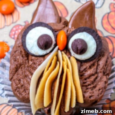 Owl Cupcakes