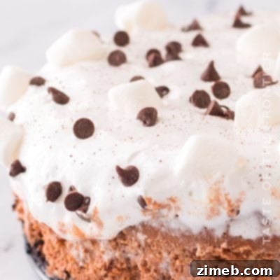 Hot Chocolate Cheesecake