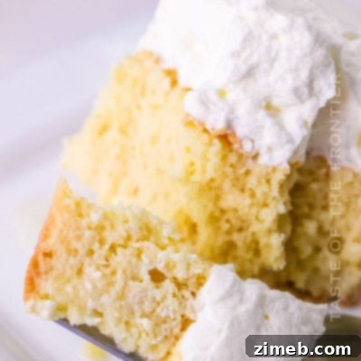 Cloud-Light Frosting 13 bite of cake