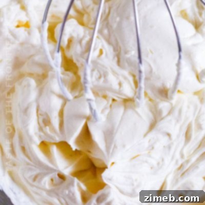 Cloud-Light Frosting 16 Whipped Cream Frosting