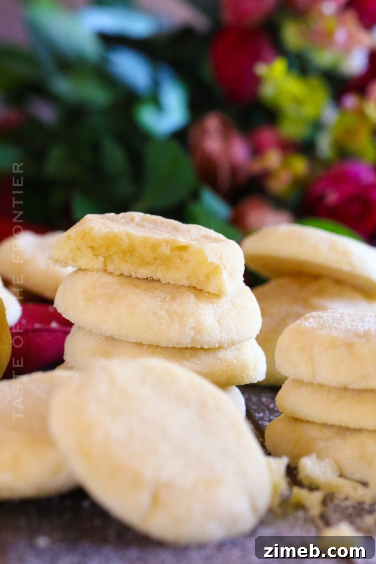 Classic Vanilla Cookies 16 Close-up of a delicious homemade no-chill vanilla cookie