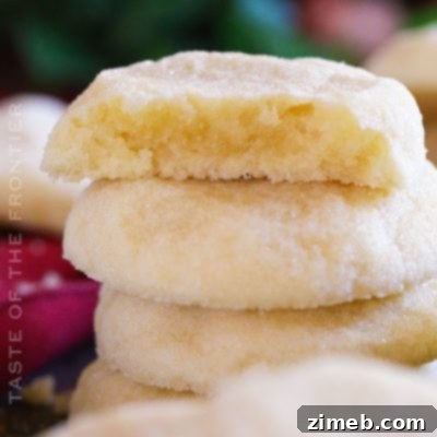 Vanilla Cookies