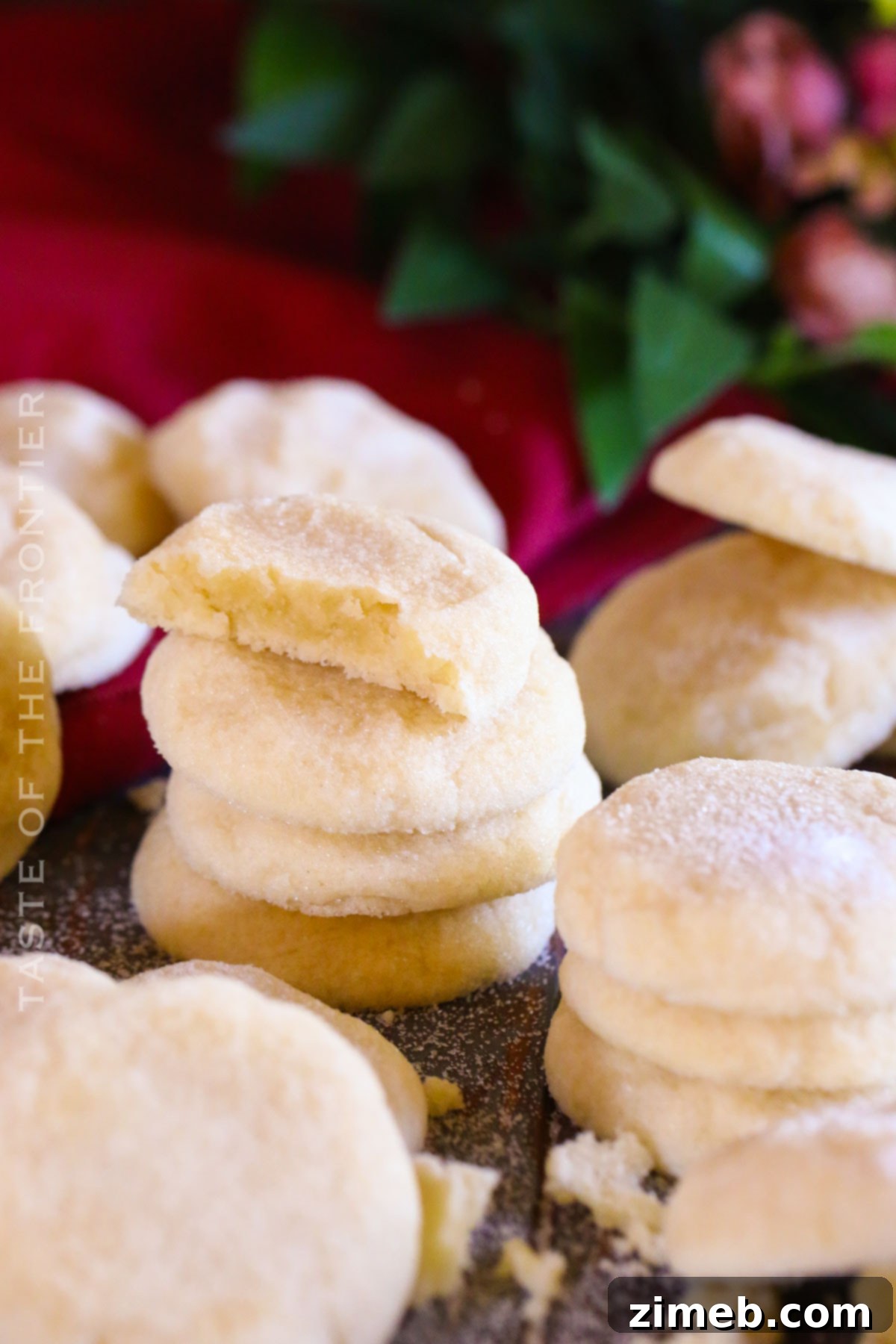 Classic Vanilla Cookies 7 Close-up of a soft and chewy vanilla cookie