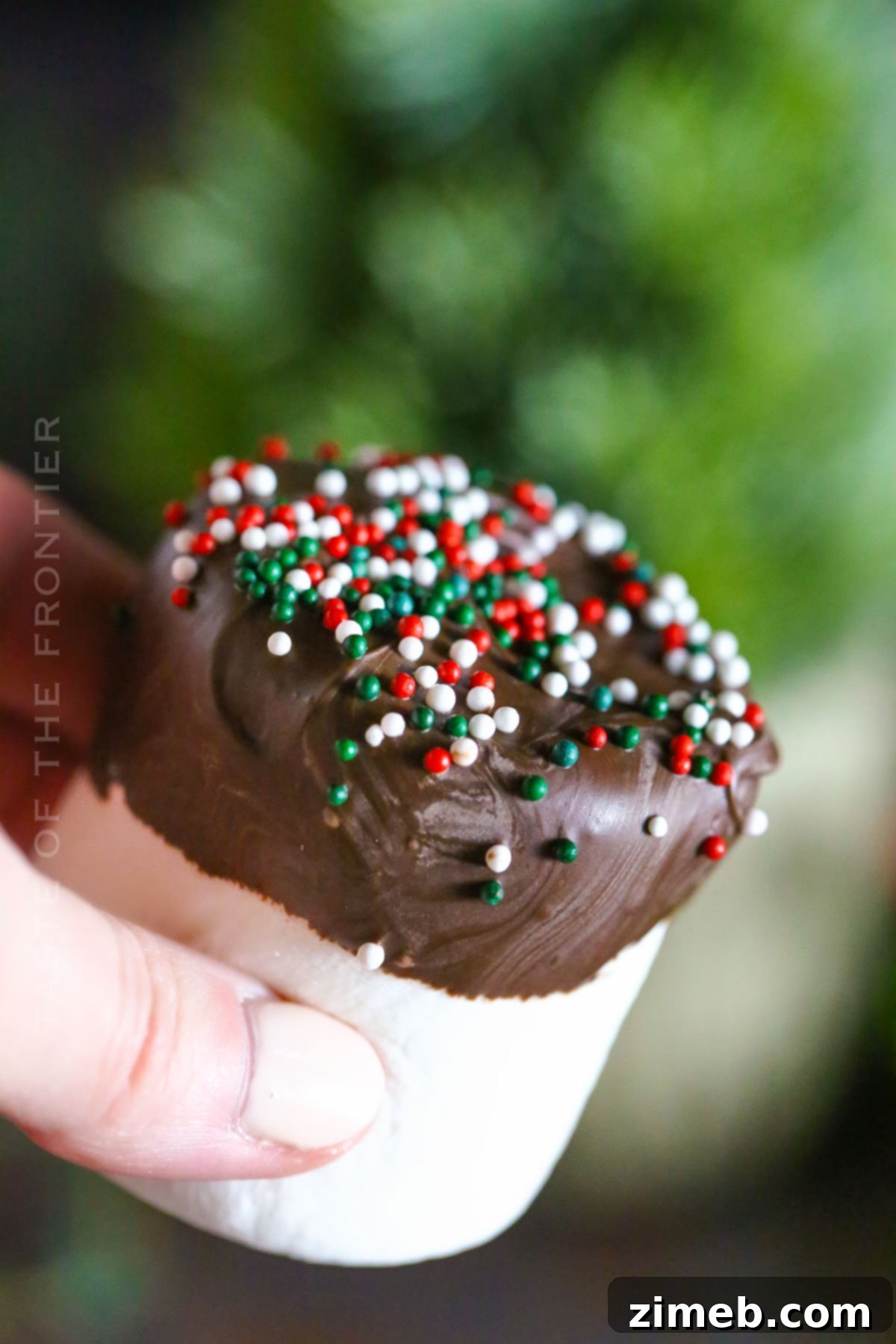Chocolate Dipped Marshmallows