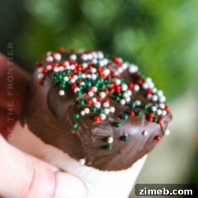 Chocolate Dipped Marshmallows