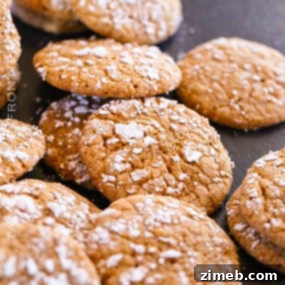 Gingerbread Bliss Bites 10 holiday gingerbread cookies
