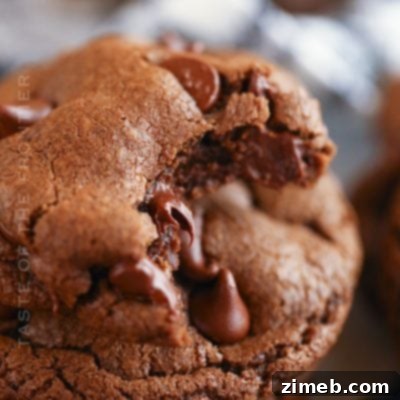 Double Chocolate Chip Cookies