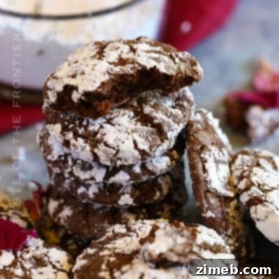 Chocolate Cool Whip Cookies