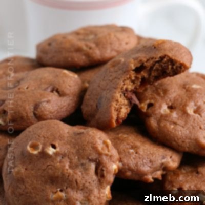 Hot Chocolate Cookie Recipe