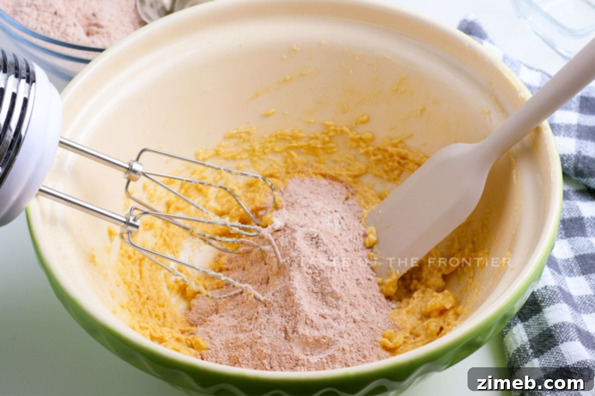 How to make Hot Chocolate Cookies step-by-step