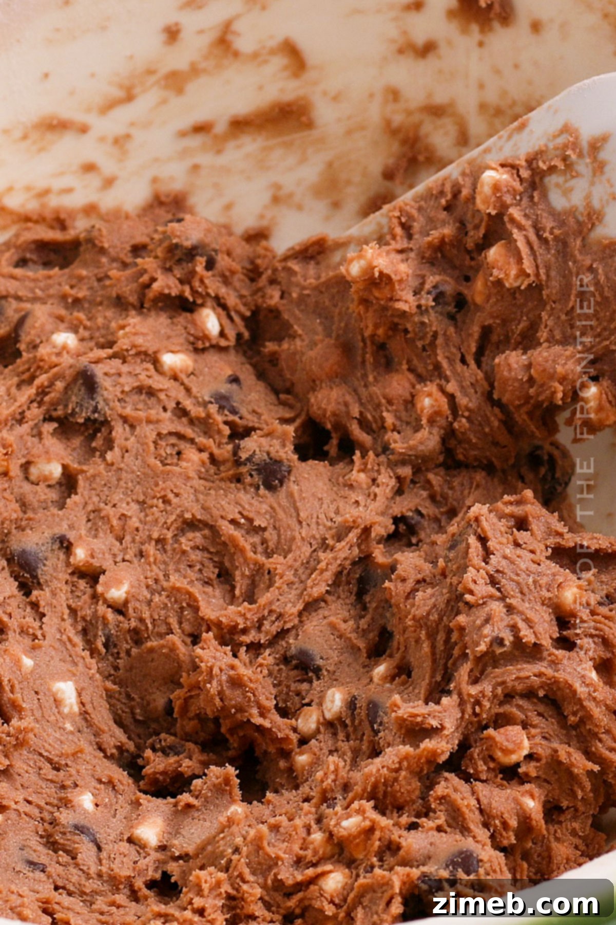 Chocolate cookie dough with chocolate chips and marshmallows
