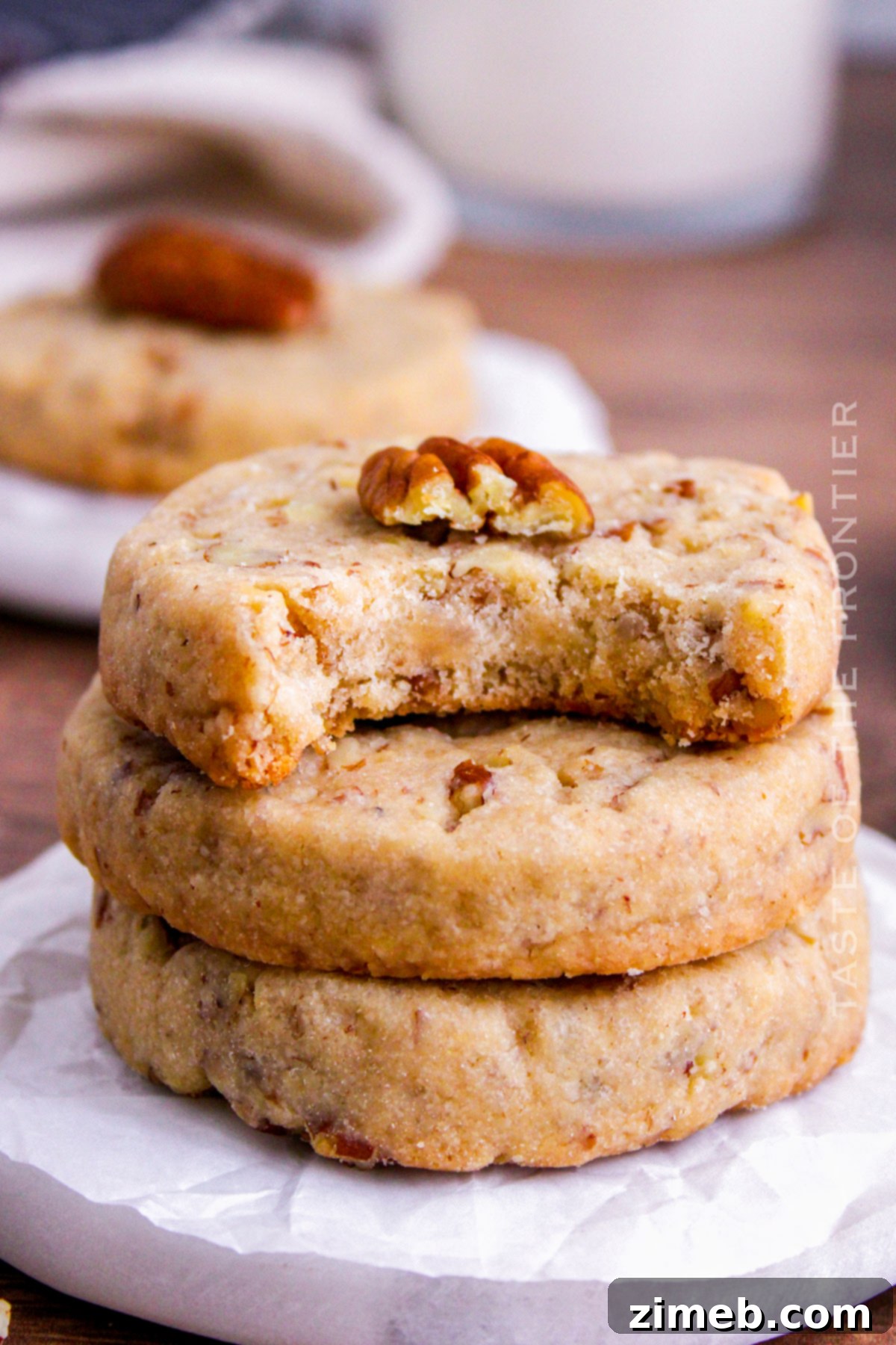 Melt-in-Your-Mouth Pecan Sandies Cookie Recipe 16 Pecan Sandies Cookies