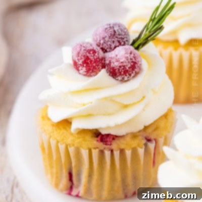 Recipe for Cranberry Cupcakes