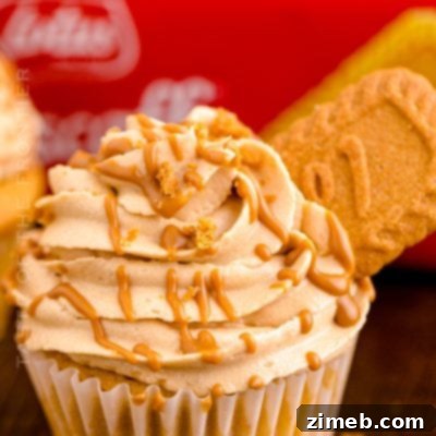 Cookie Butter Cupcakes