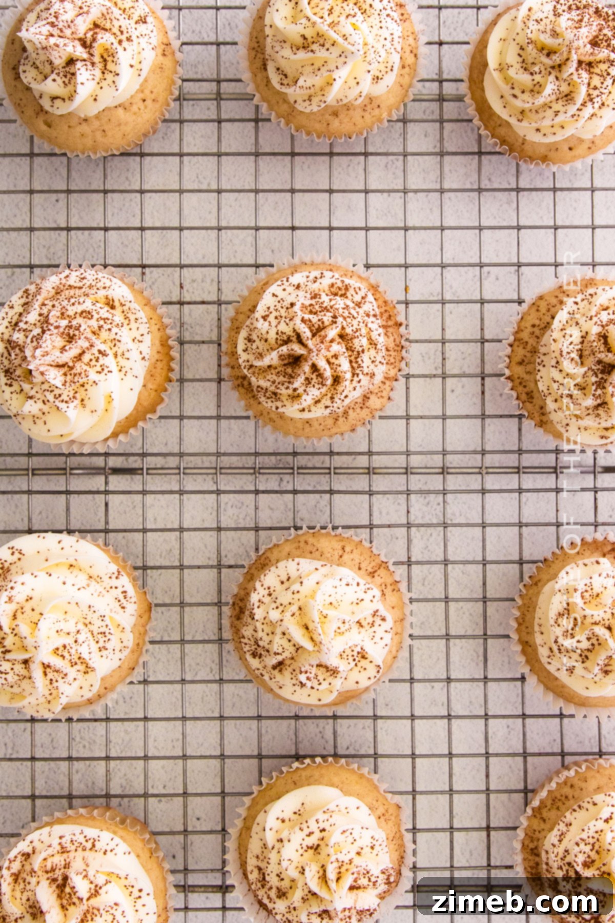 Tiramisu Cupcakes decorated with frosting and cocoa