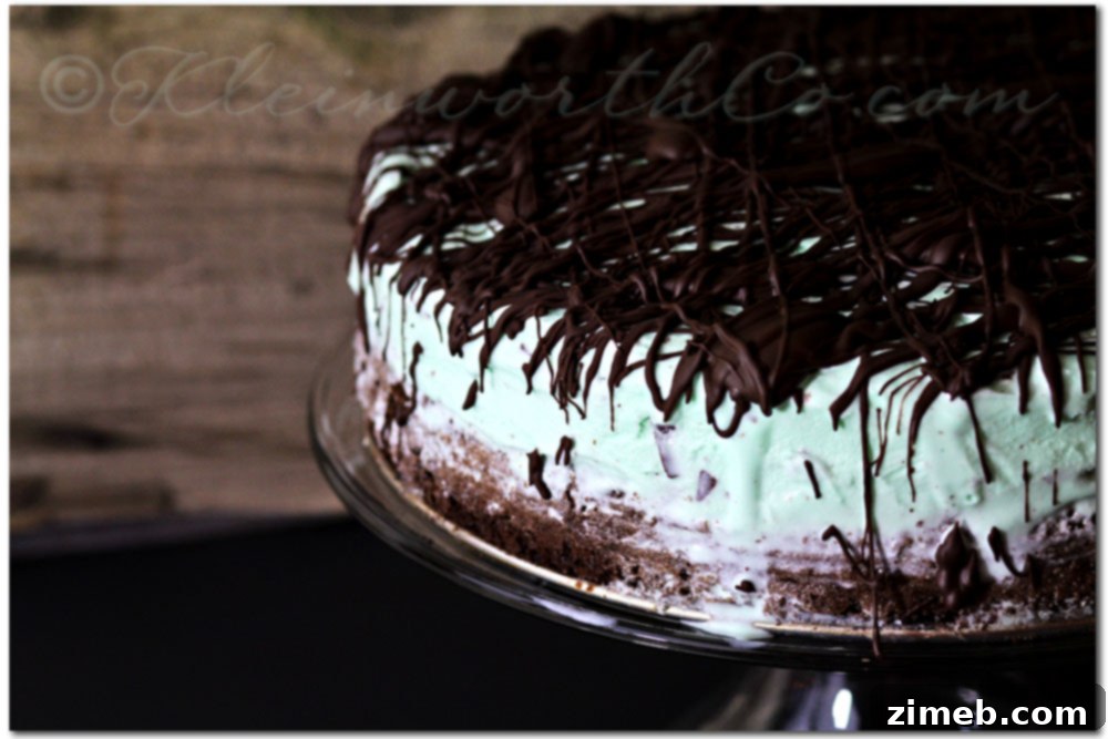 Grasshopper Ice Cream Dream: Weekly Delight 6 Delicious Grasshopper Ice Cream Cake, a perfect mint chocolate dessert