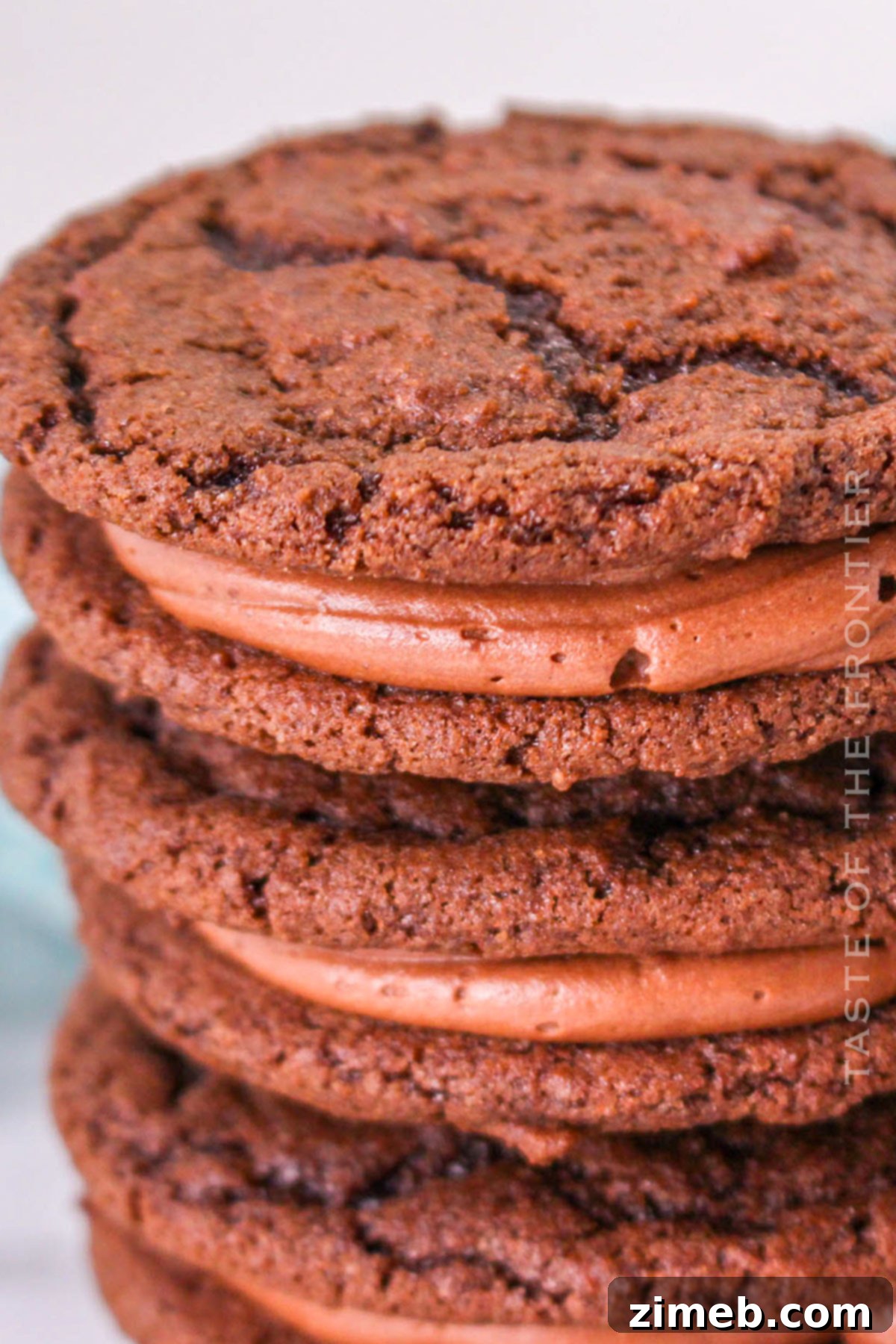 Stack of Chocolate Sandwich Cookies