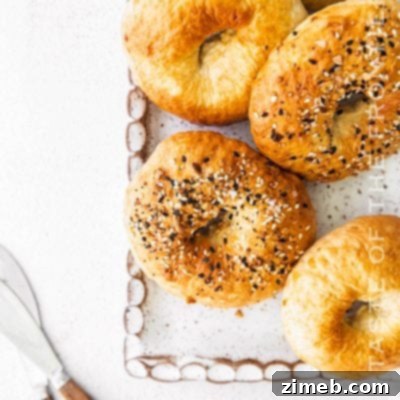 plain bagels