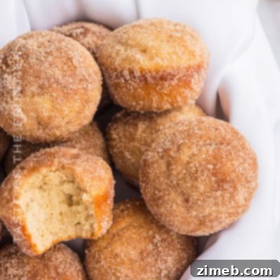 Easy Cinnamon Sugar Muffins