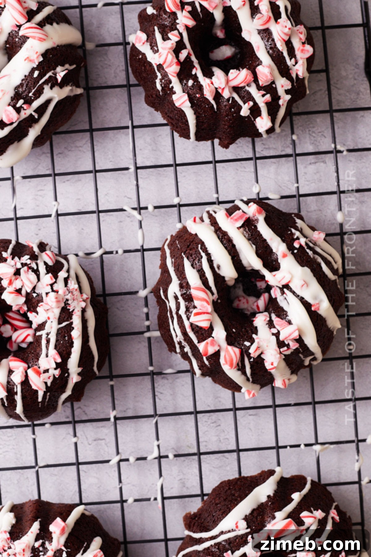 Bundtlet Bliss 14 Delicious chocolate peppermint cake slice