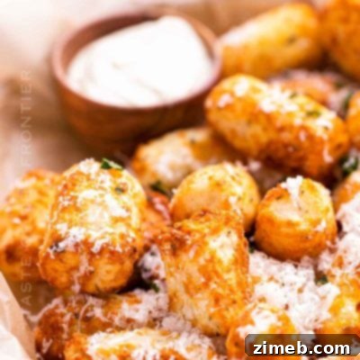 Air Fryer Tater Tots